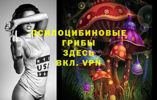 apvp Балахна