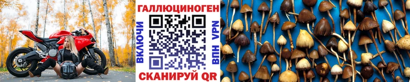 Псилоцибиновые грибы мухоморы  Белый 